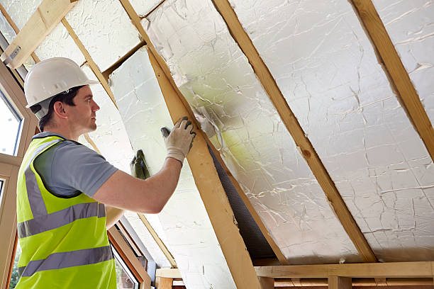 Best Geographic-Specific Insulation Services in De Witt, NY